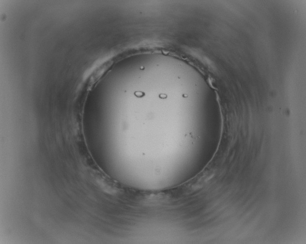 X0000076401160200610202123