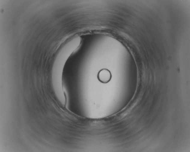 X0000076401161200610202123