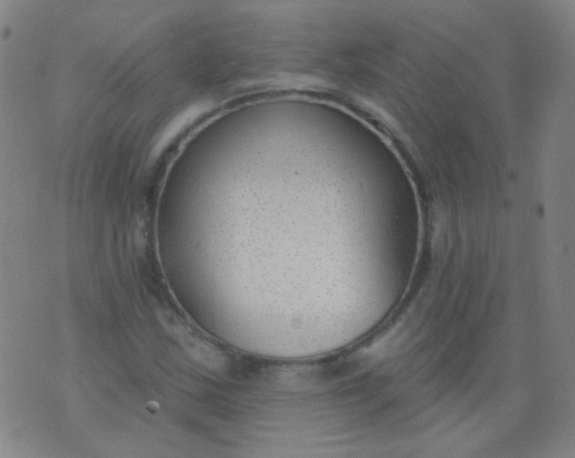 X0000076401163200610202123