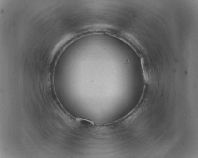 X0000076401164200610202123