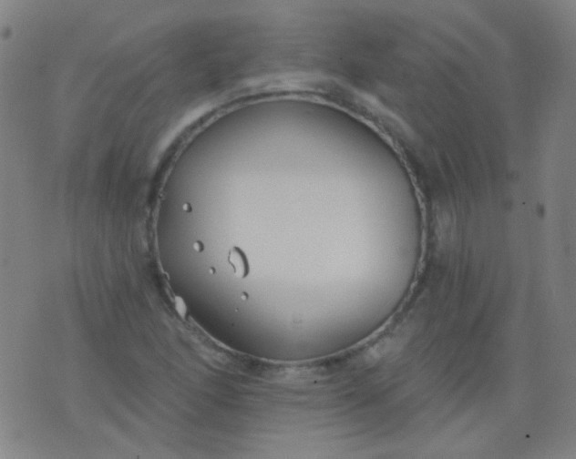 X0000076401166200610202123