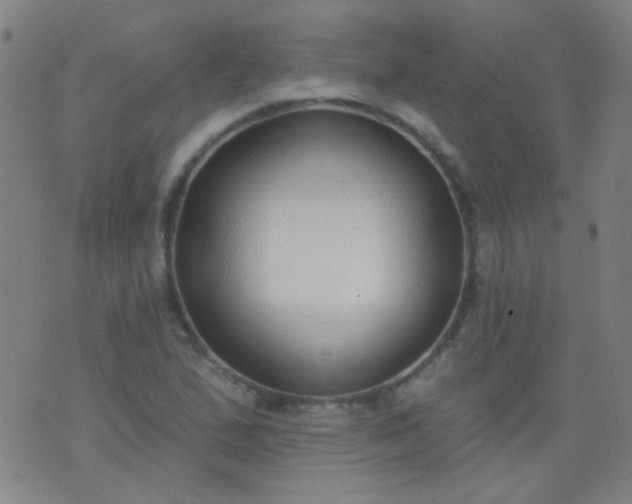 X0000076401167200610202123