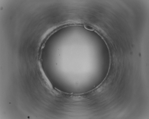 X0000076401168200610202123