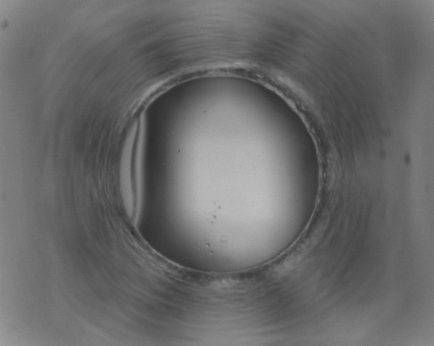 X0000076401169200610202122