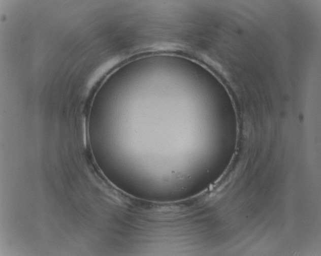 X0000076401171200610202122