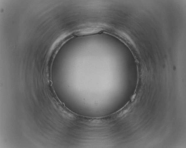 X0000076401172200610202122