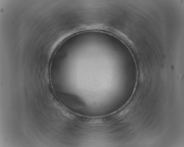 X0000076401174200610202122