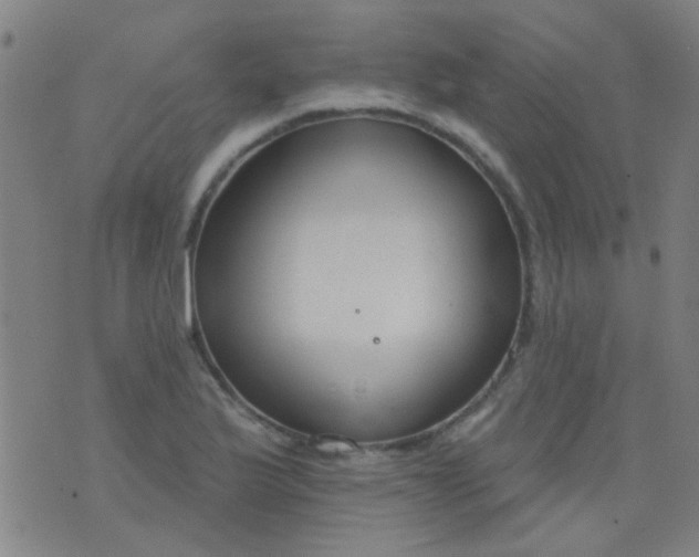 X0000076401175200610202122