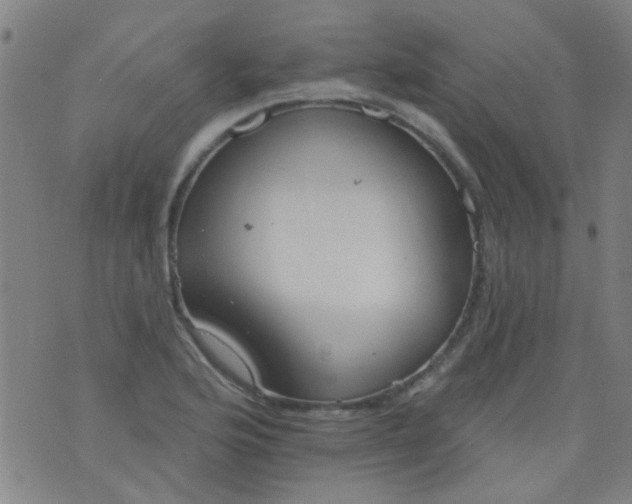 X0000076401176200610202122