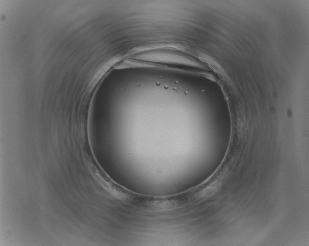 X0000076401177200610202122