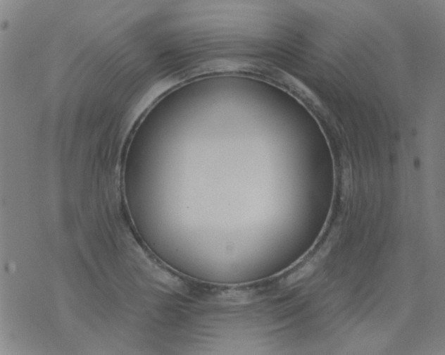 X0000076401178200610202122