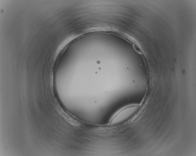 X0000076401179200610202122