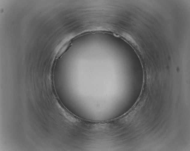 X0000076401181200610202122