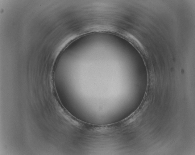 X0000076401182200610202122