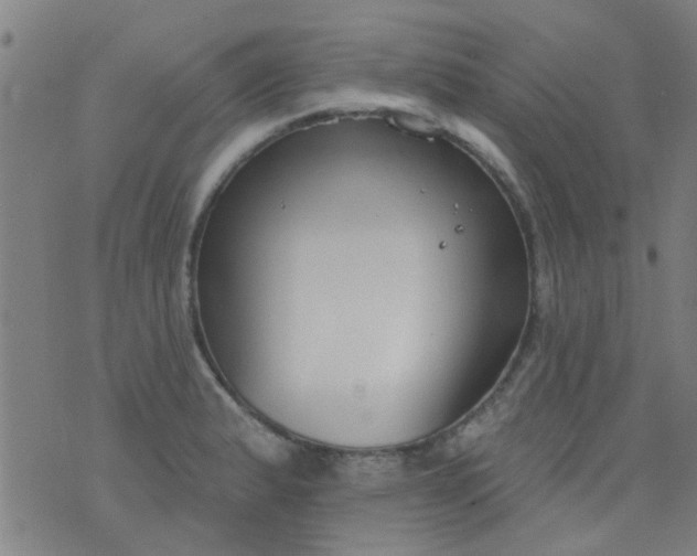 X0000076401183200610202122