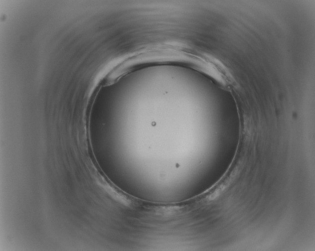 X0000076401184200610202122