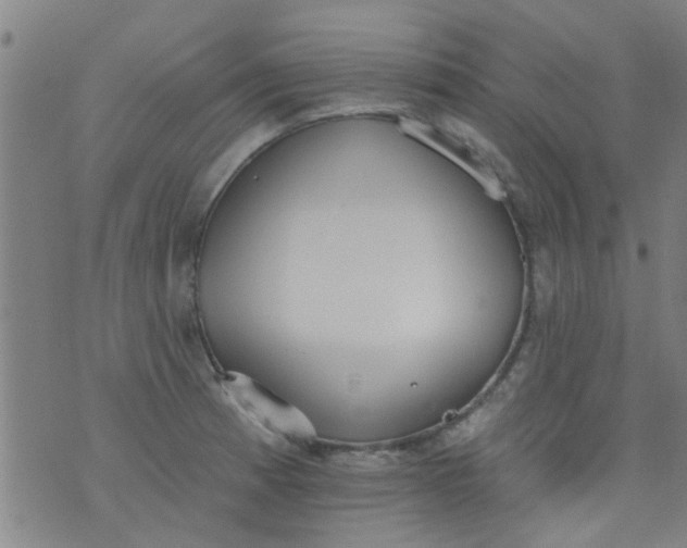 X0000076401185200610202122