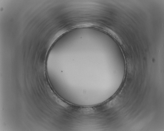 X0000076401186200610202122