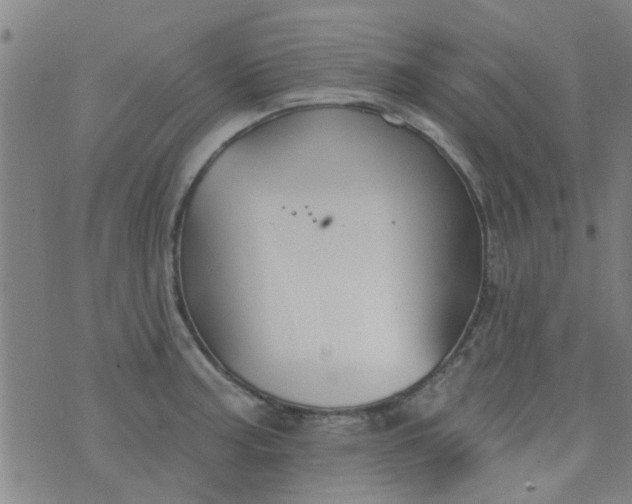 X0000076401187200610202122