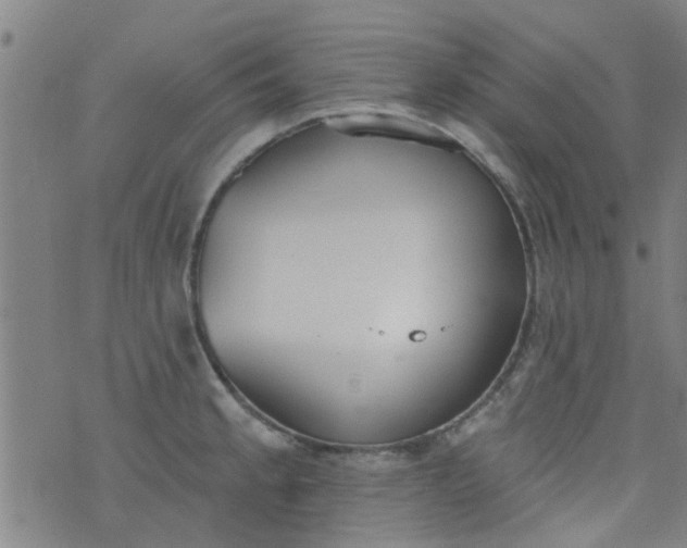 X0000076401189200610202122