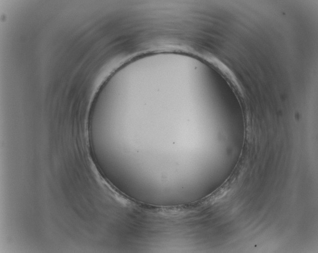 X0000076401191200610202122