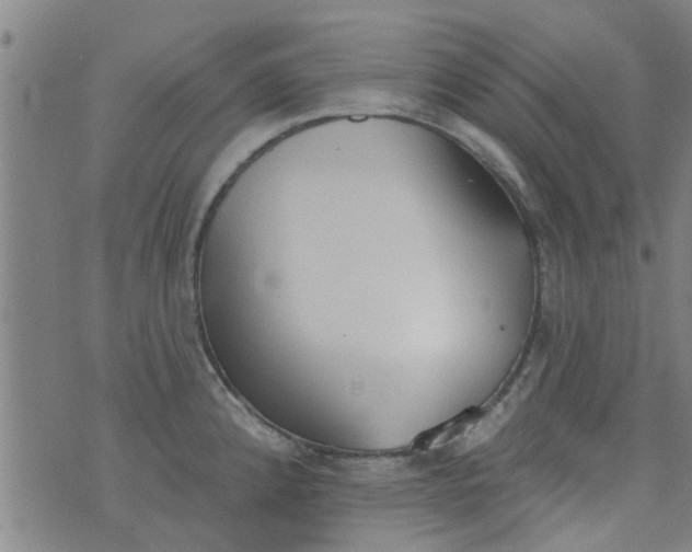 X0000076401192200610202122