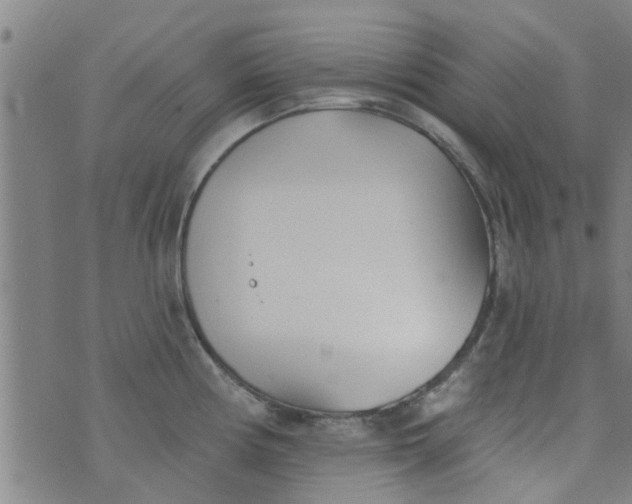 X0000076401194200610202122