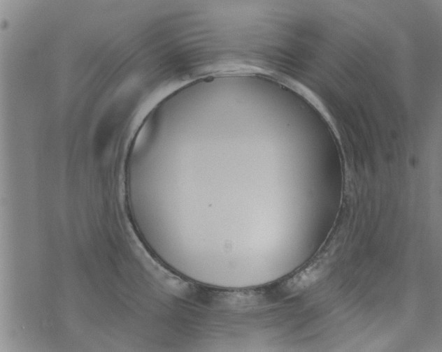 X0000076401195200610202122