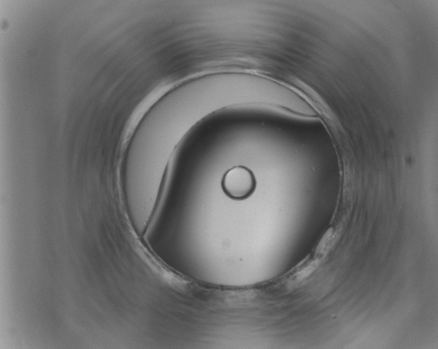 X0000076401196200610202122