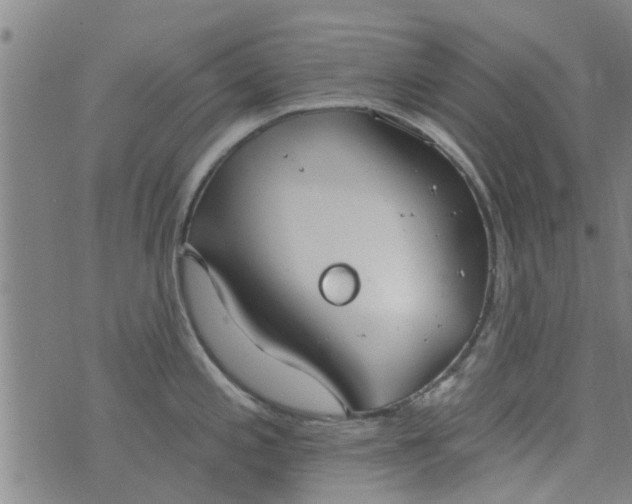 X0000076401197200610202122