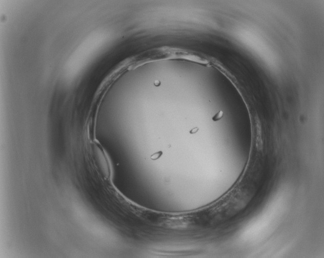 X0000076401198200610202122