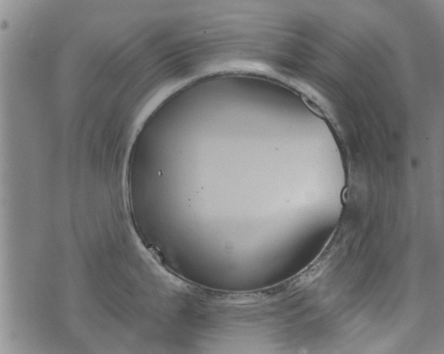 X0000076401199200610202122