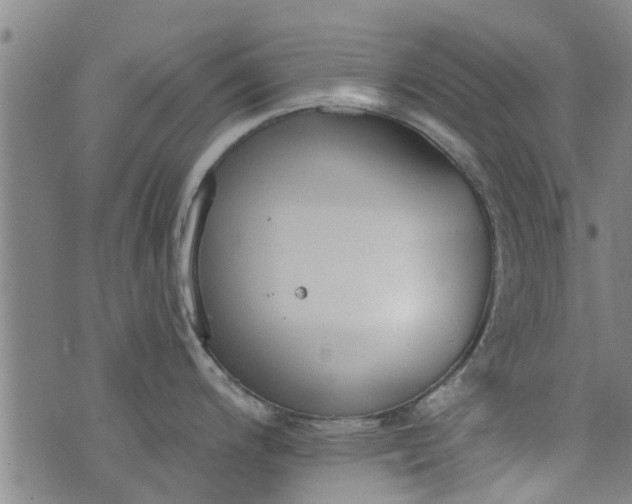 X0000076401200200610202122