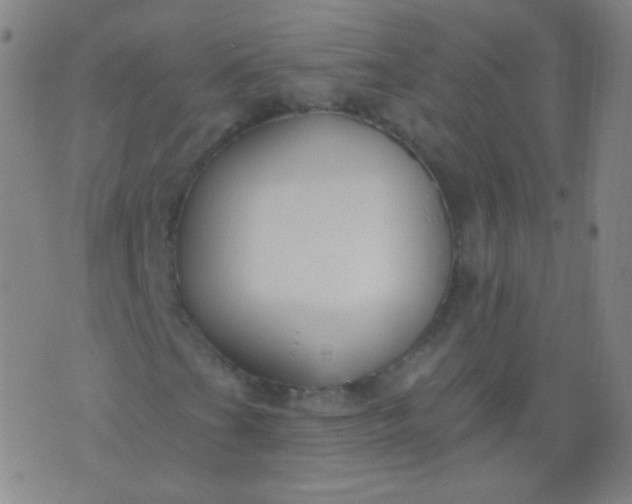 X0000076401201200610202121