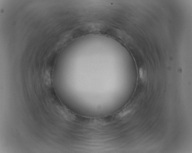 X0000076401203200610202121