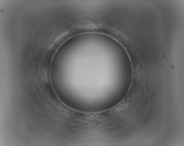 X0000076401205200610202121