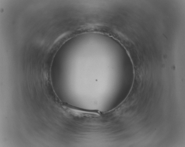 X0000076401206200610202121