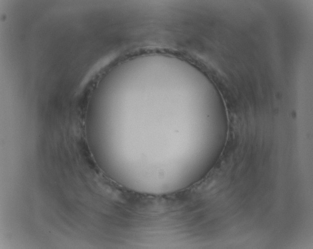 X0000076401207200610202121