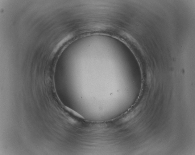 X0000076401210200610202121