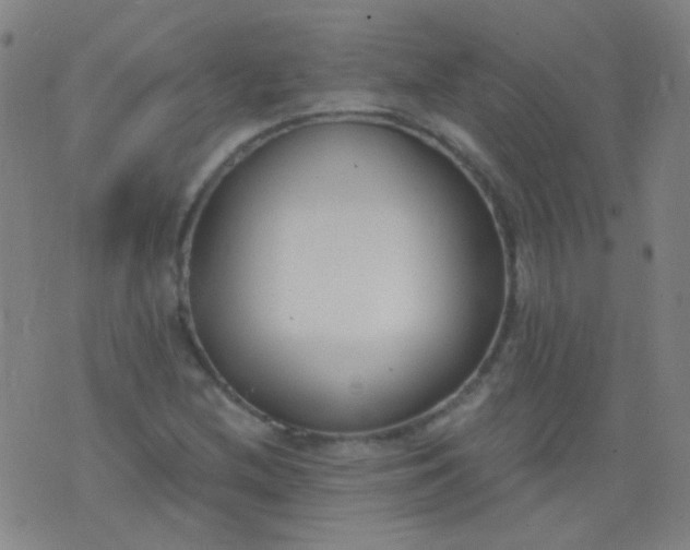 X0000076401212200610202121