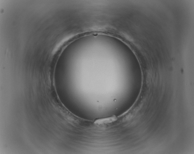 X0000076401214200610202121