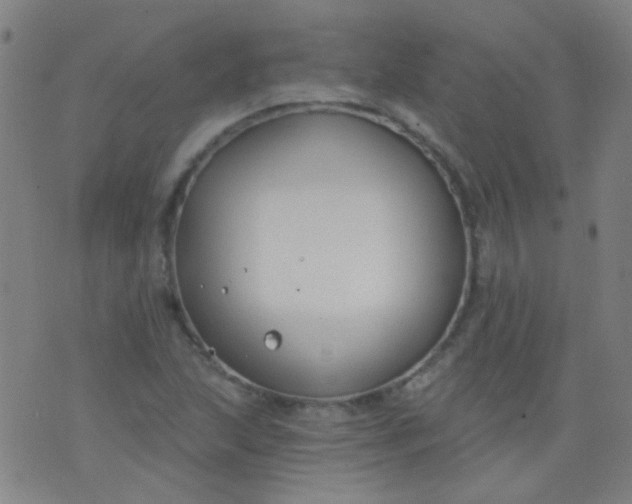 X0000076401215200610202121