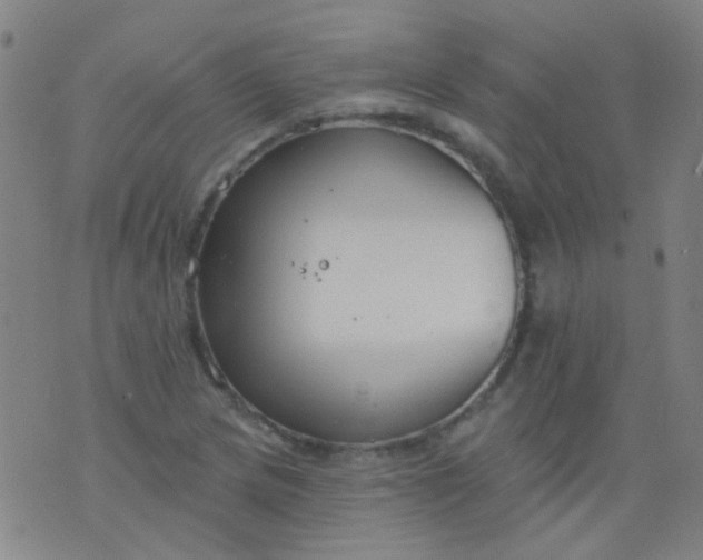 X0000076401217200610202121