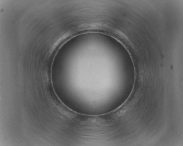 X0000076401218200610202121