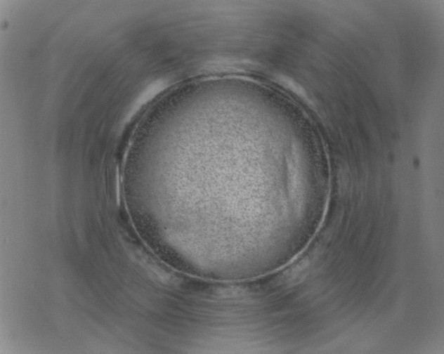 X0000076401219200610202121