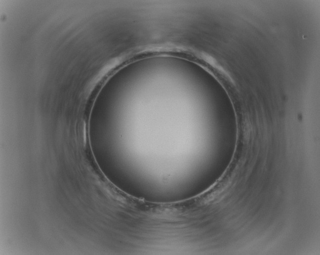 X0000076401221200610202122