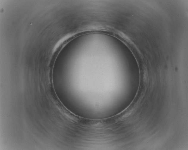 X0000076401222200610202122