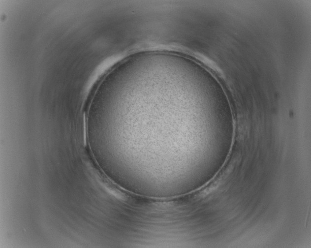 X0000076401223200610202122