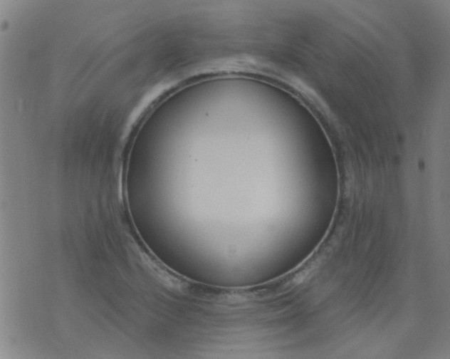 X0000076401224200610202122