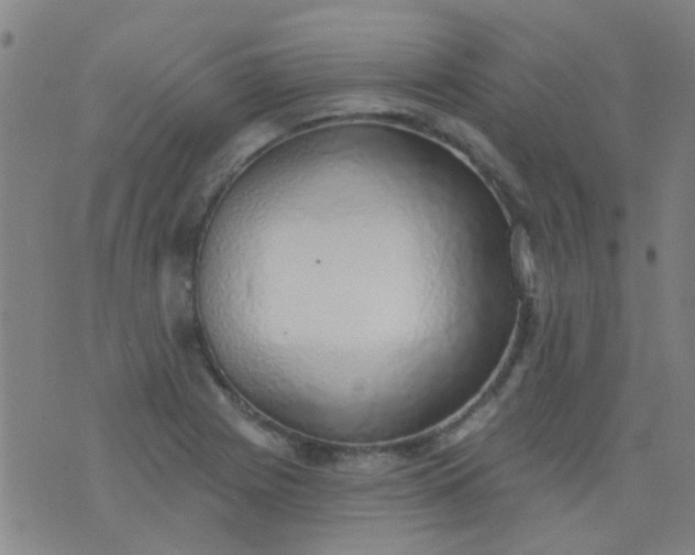 X0000076401225200610202122